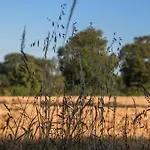 La Cour Souveraine - Omaha Gæstehus