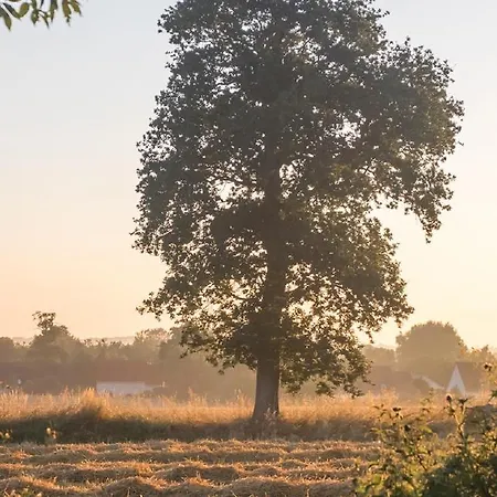 Gasthof La Cour Souveraine - Omaha