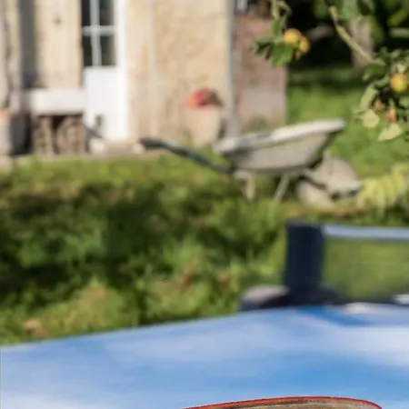 La Cour Souveraine - Omaha 3* Mosles