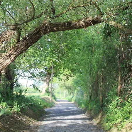 De Charme La Cour Souveraine Mosles