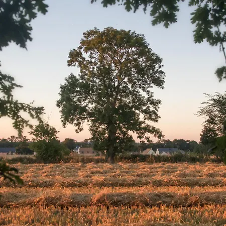 Gasthof La Cour Souveraine - Omaha Mosles
