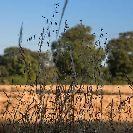 La Cour Souveraine - Omaha Gasthof