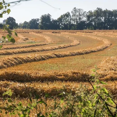 Gasthof La Cour Souveraine - Omaha Mosles