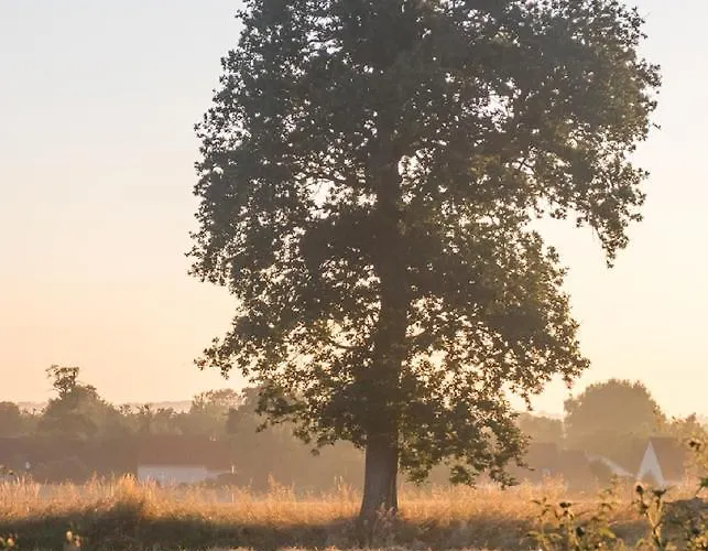 Penzion La Cour Souveraine - Omaha