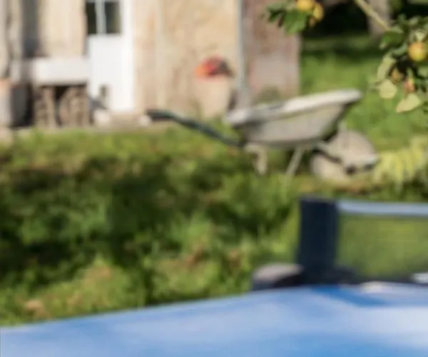 La Cour Souveraine - Omaha 3* Mosles