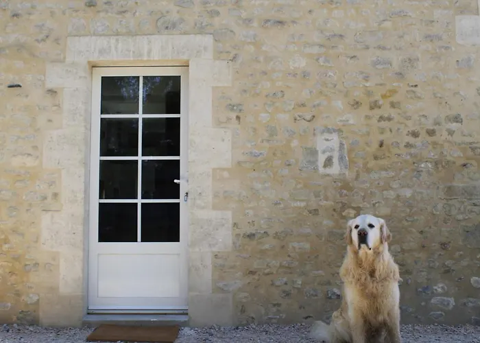 Penzion La Cour Souveraine - Omaha Mosles