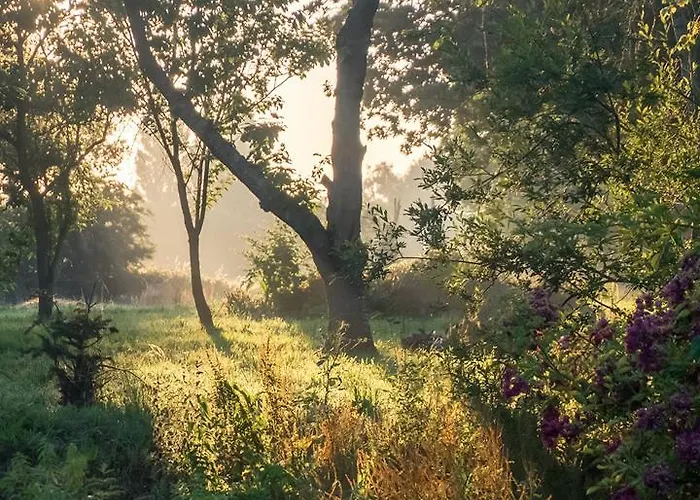 La Cour Souveraine - Omaha Penzion Mosles