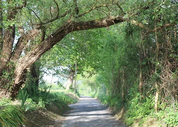 La Cour Souveraine - Omaha Mosles