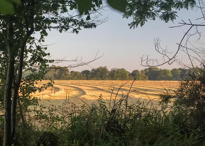 La Cour Souveraine - Omaha 3* Mosles