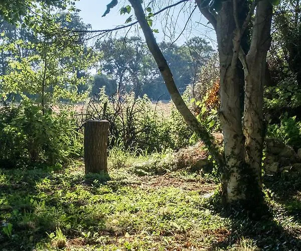 La Cour Souveraine - Omaha 3*