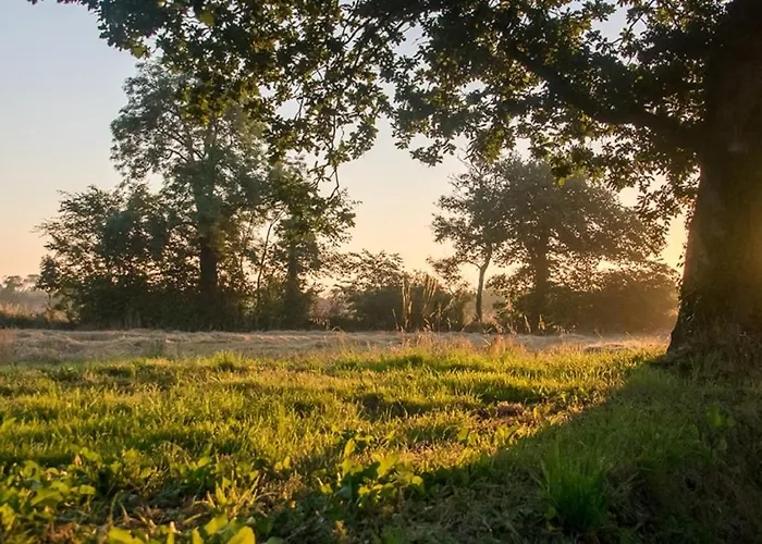La Cour Souveraine - Omaha