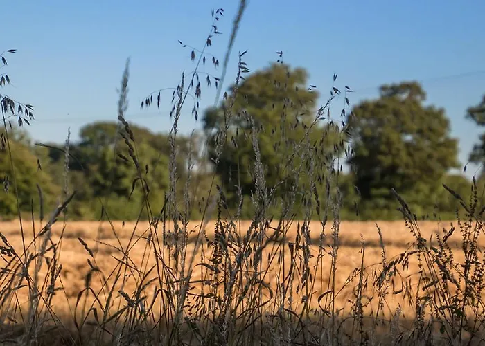 La Cour Souveraine - Omaha Penzion