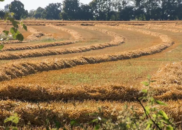 Penzion La Cour Souveraine - Omaha Mosles